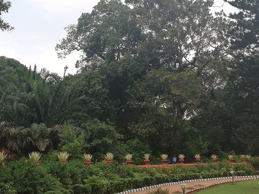 I-Botanical Garden