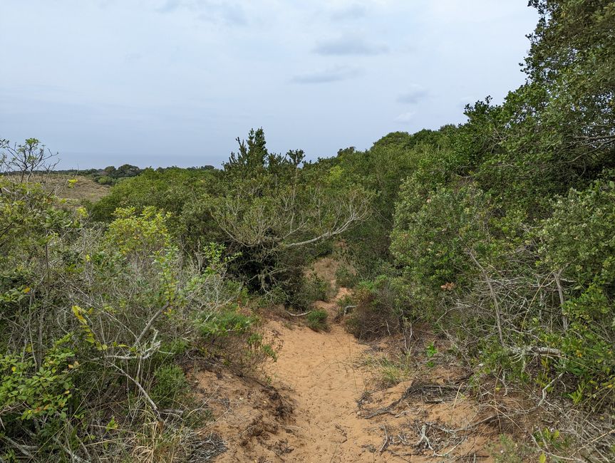 Parc marin d'iSimangaliso