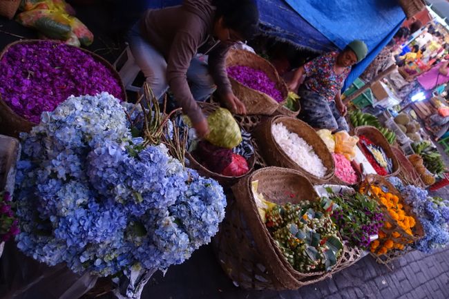 colorful flower stalls