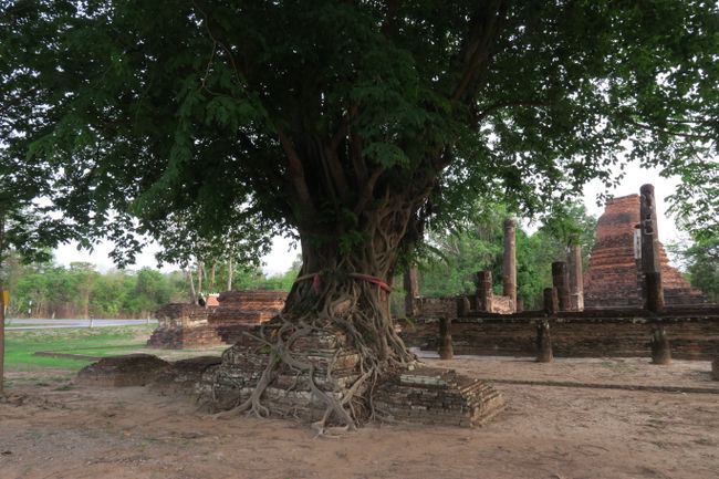 Sukhothai- Ruinen mit Flair