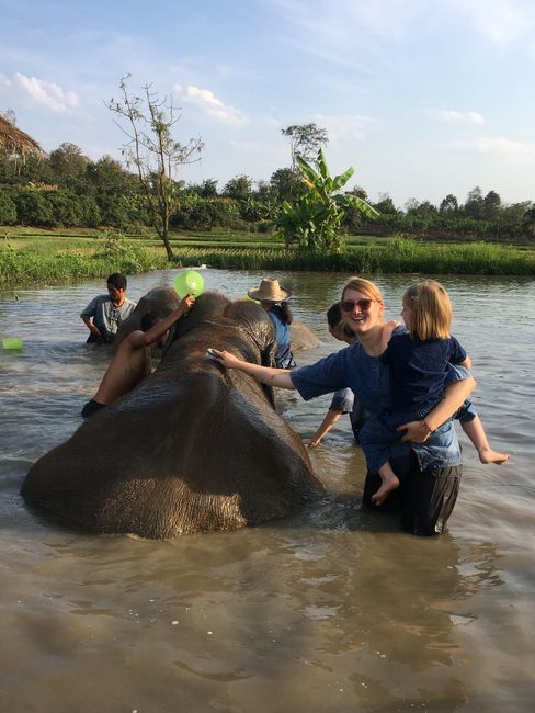 Ein Tag mit geretteten Elefanten
