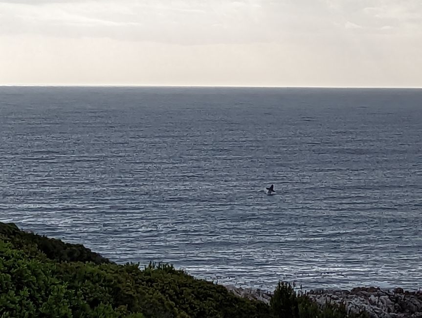 D'Oudtshoorn à Hermanus - avec un détour dans le 'Midwest'