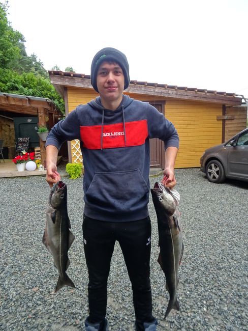 Bergen and Fishing II