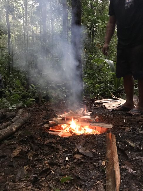 Amazonas Abenteuer- Tag II