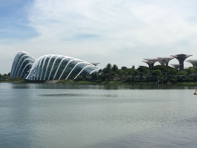 Marina Sands Bay Gardens with greenhouses