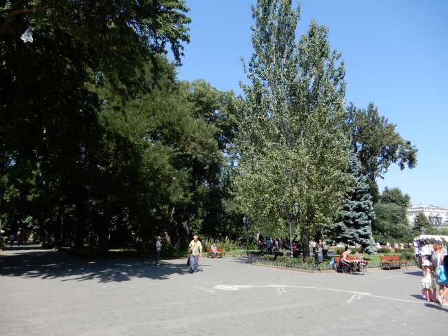 Odessa sans mots
