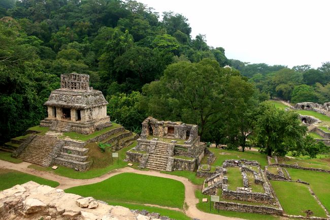 Palenque: Jungle and Ruins