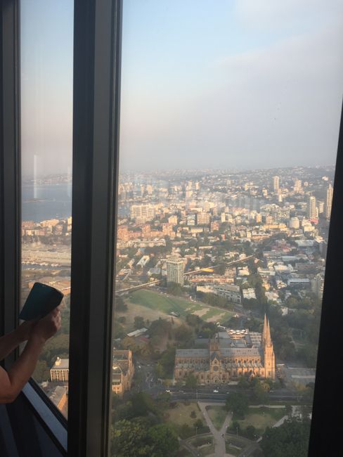 Chapter 4: Sydney, New Year's Eve, and Family Time