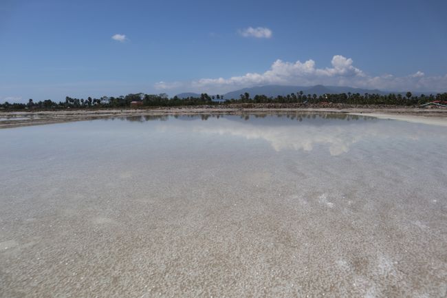 A field of salt fields, the white dots are salt crystals.