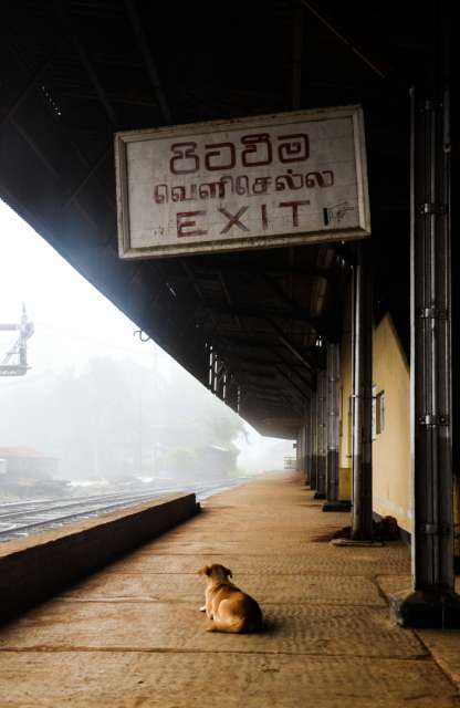 18.09.2016 - Sri Lanka, Nuwara Eliya (Bahnhof)