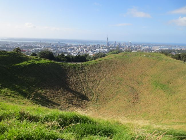 Crater + view of Auckland from Mount Eden