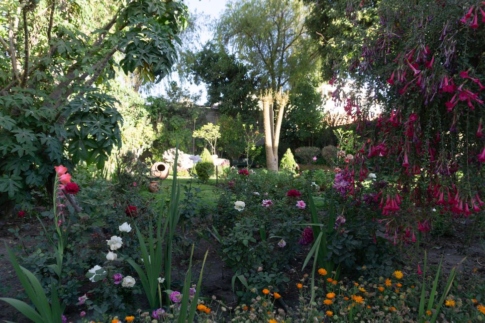 Garten im Kloster 