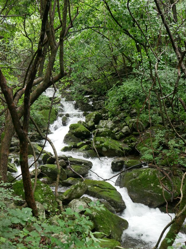 Regen im Jirisan-Nationalpark