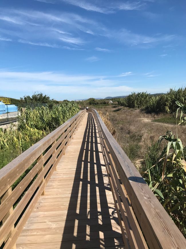 El muelle interminable parte 2