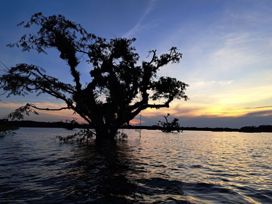 Amazonas - the most beautiful sunsets of the trip 