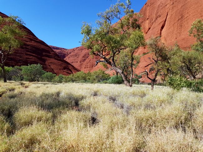 Uluru / Kata-Tjuta: Lugares sagrados de los aborígenes