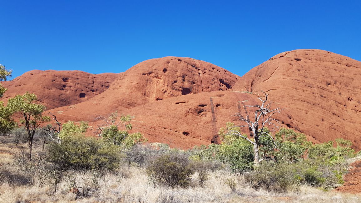 03.03.2023 vom Uluru zum Kings Canyon