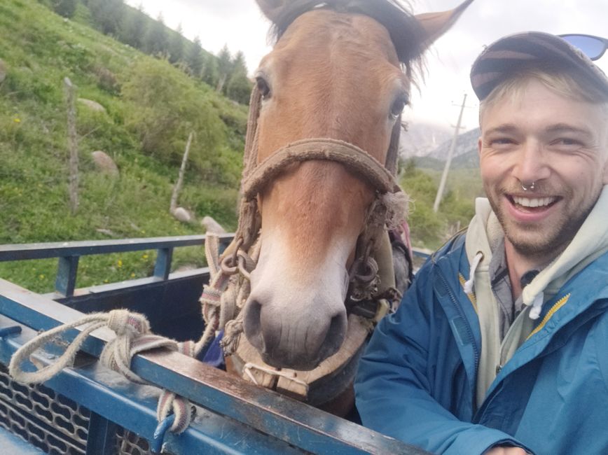 Me, hitchhiking with the horse