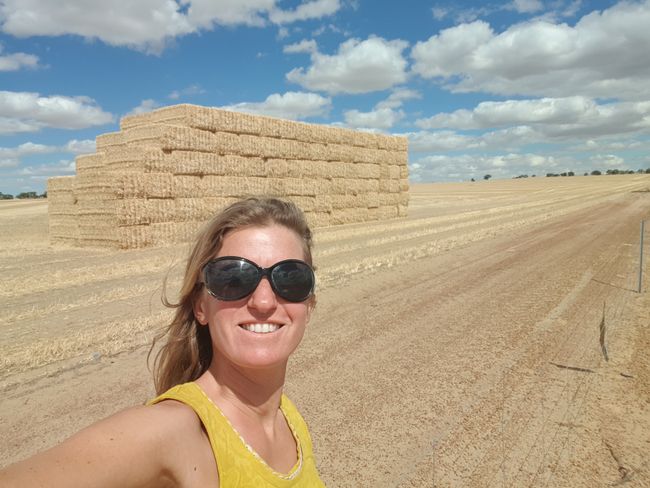 Wheatbelt - durch den westaustralischen Weizengürtel Richtung Outback