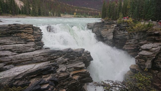 Athabasca Falls, Jasper National Park 
