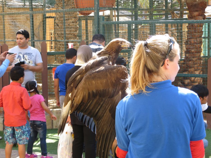 Emirates Park & Zoo