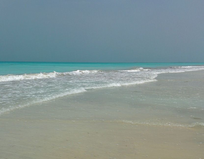 Saadiyat Island - Kai Beach