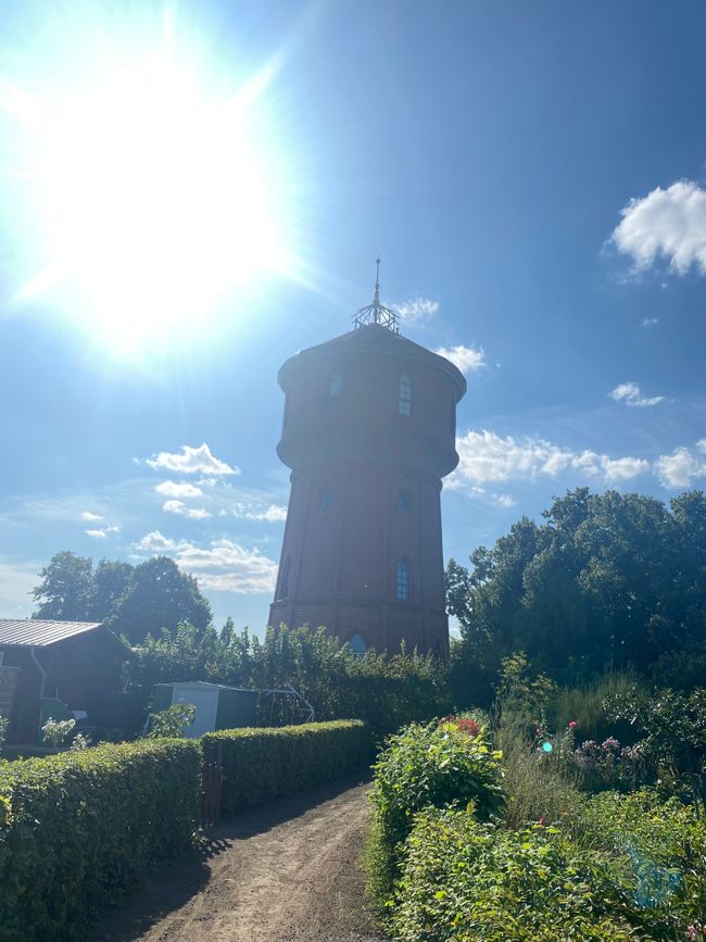 Vor’m Sommer ist mitten im Sommer