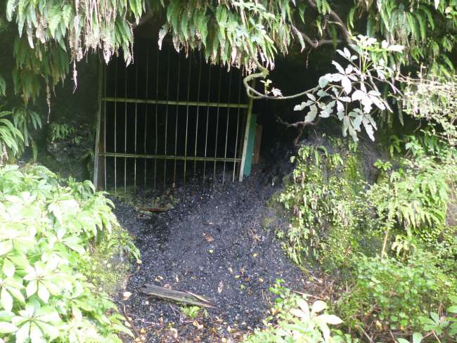 Steinkohle wurde am Rakaia Gorge auch mal gefunden