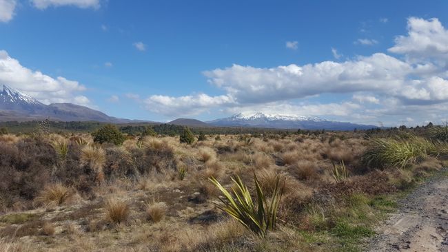 Taupo, Rotorua, Turangi