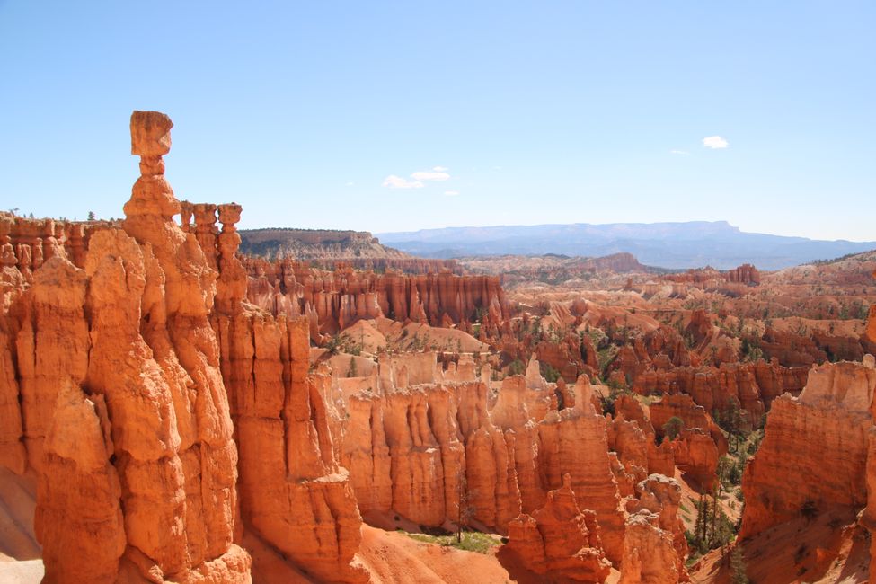 Into the deep - Navajo Loop Trail in Bryce Canyon