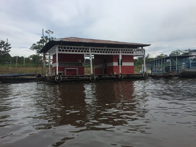 Tag 15 - ab in den Dschungel, der Amazonas wartet und unser Visa-Run