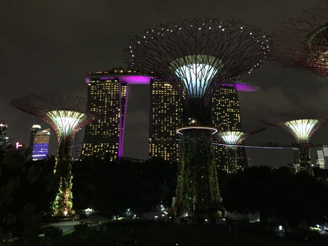 Panorama at the Supertrees
