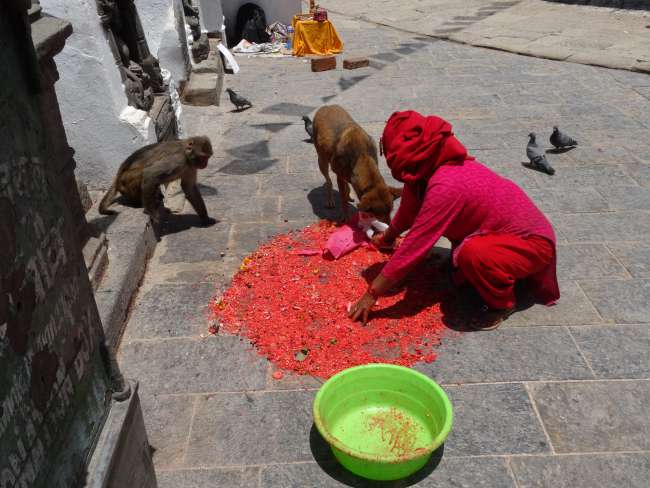 Nepal: from Kathmandu .....