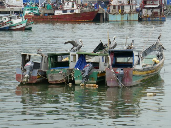 The fishermen's port of Panama City