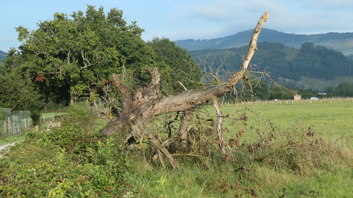 8.  Etappe Onton nach Laredo