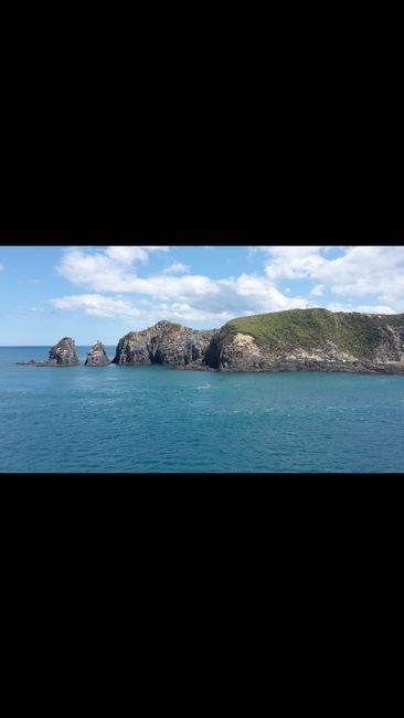 With the ferry from Picton (Southisland) to Wellington (Northisland)