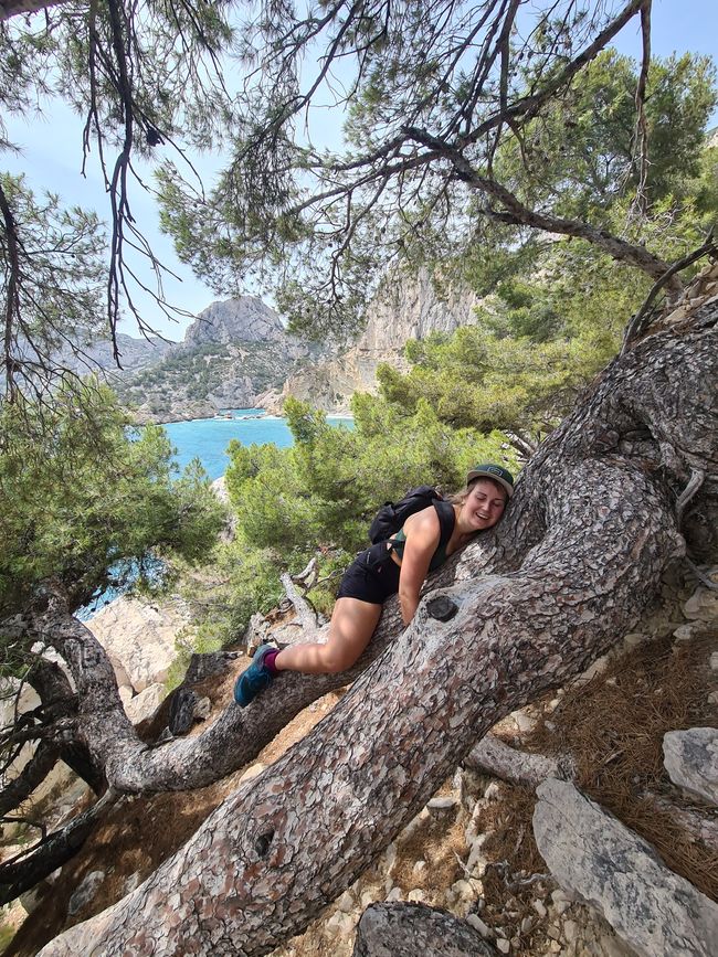 20.06. Calanques National Park 
(full post by clicking on the image)