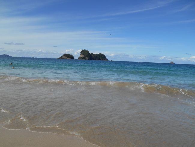 13 novembre