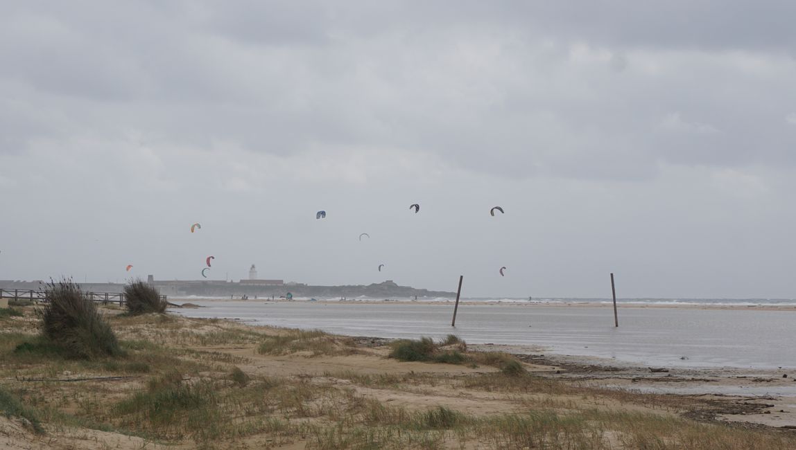 the sky full of kite sails