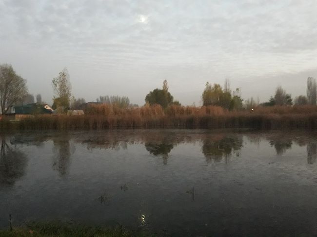 small pond