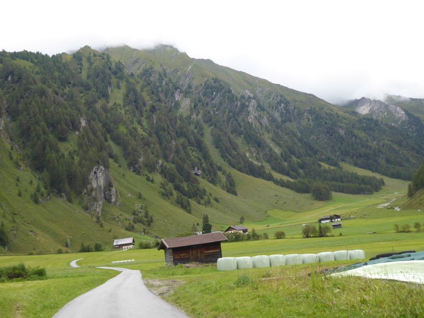 Hiking in Gschnitztal, wildflowers in Schmirntal