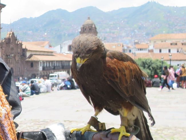 Goodbye Cuzco