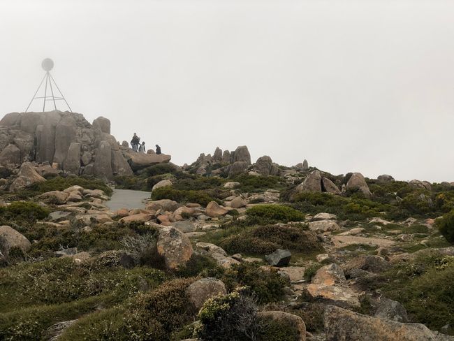Mount Wellington im Nebel