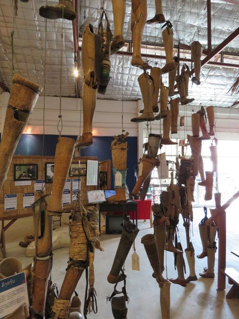 Leg prosthesis at the COPE Visitor Center