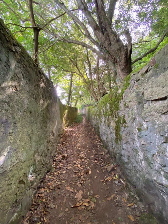 Path to Pena Castle