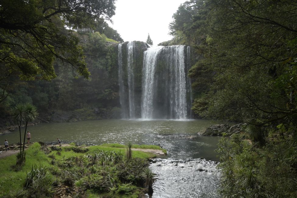 Middle Northland - Whangarei Falls