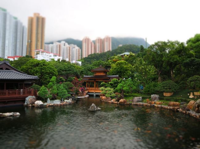 Chi Lin Garden 
