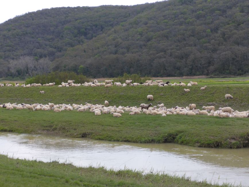 Auf nach Kroatien