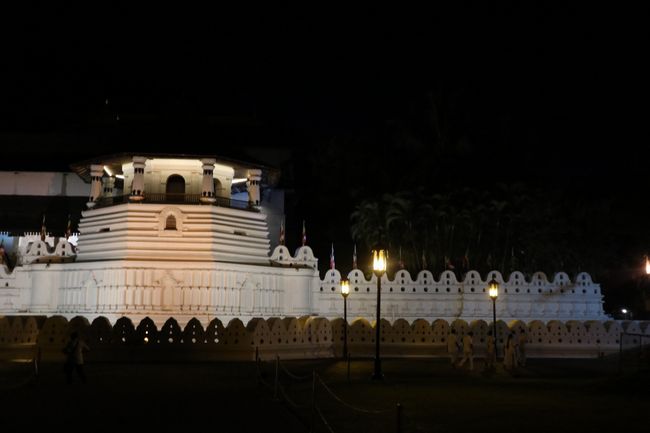 Kandy: Buddhas Eckzahn und eine bedeutende Begegnung mit Namal
