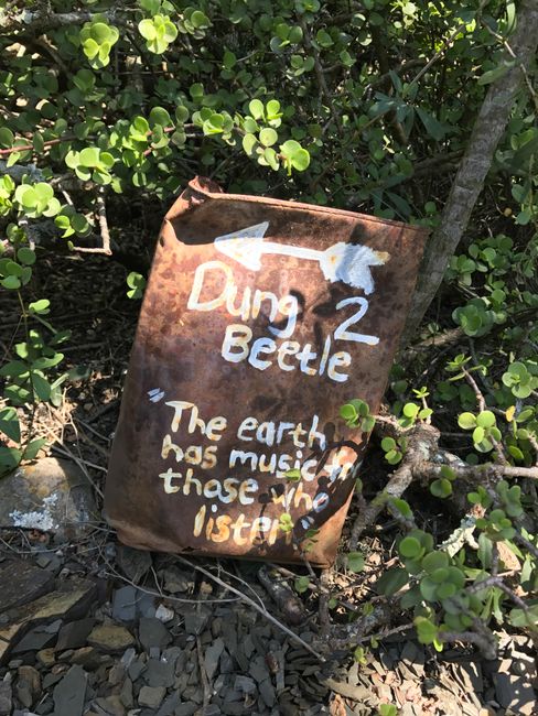Dung Beetle Guest Farm - Stay in the 'Dung Beetle House'